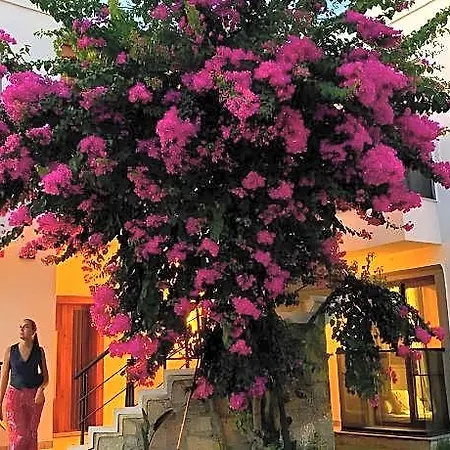 ホテル Derin Bodrum 2*